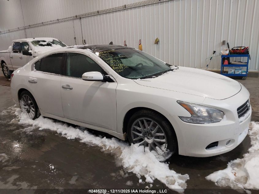 2009 Nissan Maxima 3.5 S VIN: 1N4AA51E39C857259 Lot: 12485270