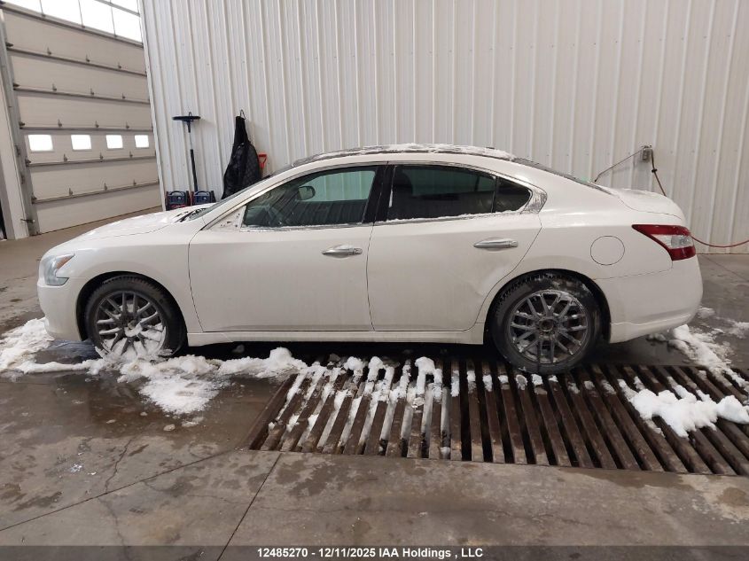 2009 Nissan Maxima 3.5 S VIN: 1N4AA51E39C857259 Lot: 12485270