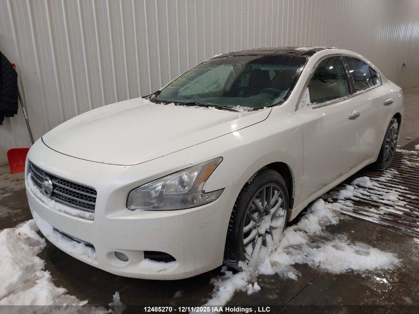 2009 Nissan Maxima 3.5 S VIN: 1N4AA51E39C857259 Lot: 12485270