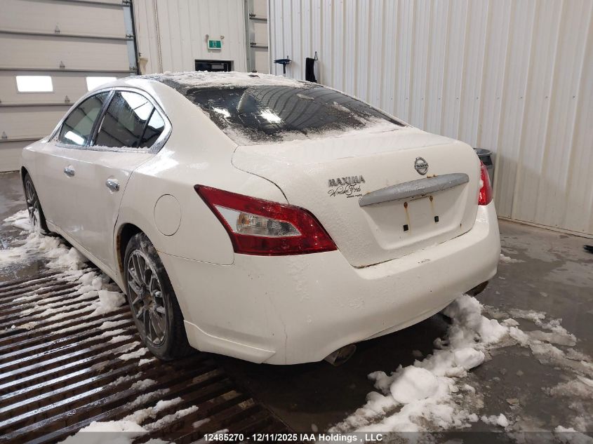 2009 Nissan Maxima 3.5 S VIN: 1N4AA51E39C857259 Lot: 12485270