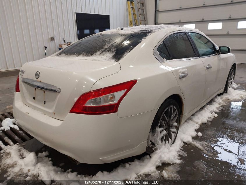 2009 Nissan Maxima 3.5 S VIN: 1N4AA51E39C857259 Lot: 12485270