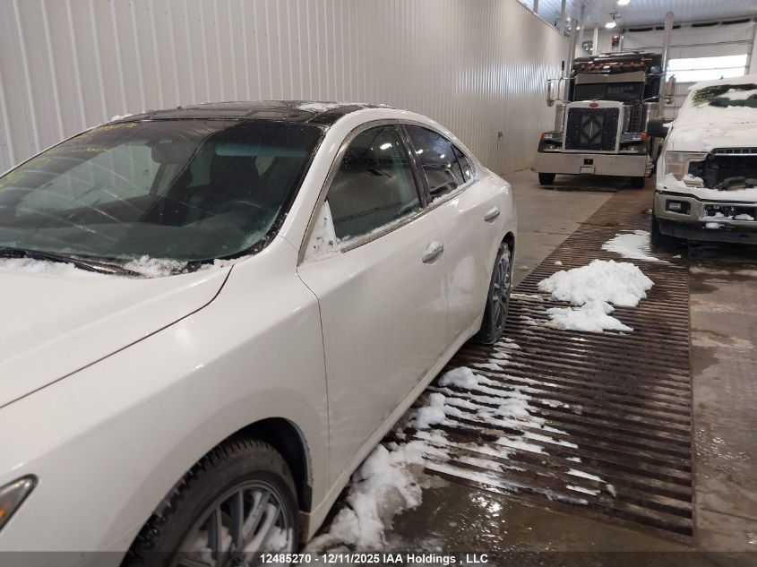 2009 Nissan Maxima 3.5 S VIN: 1N4AA51E39C857259 Lot: 12485270