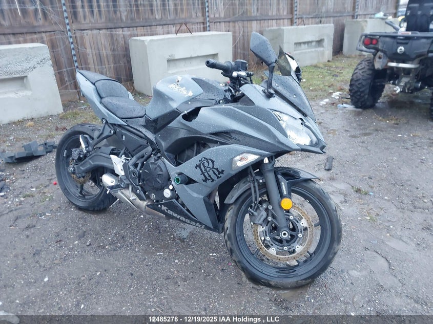 JKAEXEK16JDA25884 2018 Kawasaki Ex650 F auction photo 1