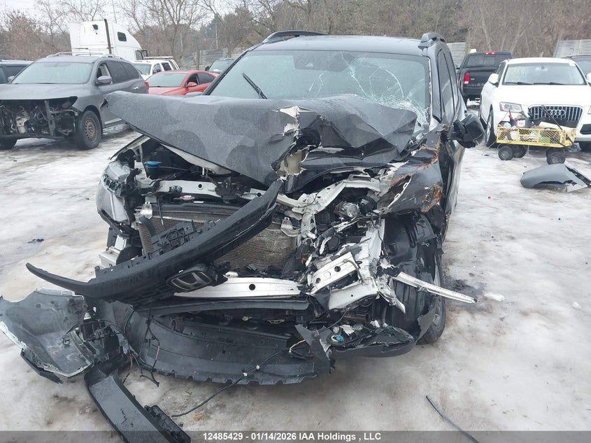 2021 Honda Passport Ex-L VIN: 5FNYF8H56MB500848 Lot: 12485429