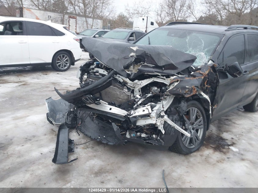 2021 Honda Passport Ex-L VIN: 5FNYF8H56MB500848 Lot: 12485429