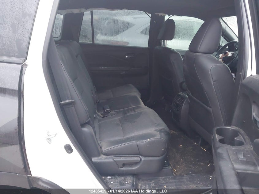 2021 Honda Passport Ex-L VIN: 5FNYF8H56MB500848 Lot: 12485429