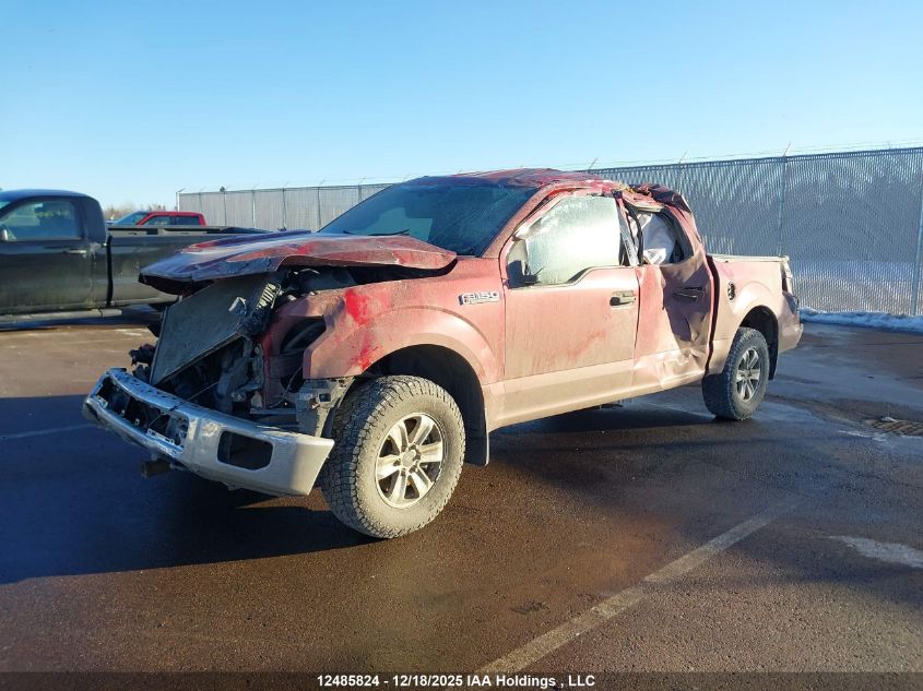 2016 Ford F-150 Xlt VIN: 1FTEW1EF7GFD04909 Lot: 12485824