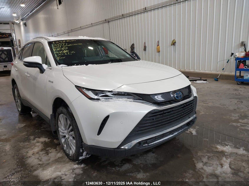 JTEAAAAH3MJ053377 2021 Toyota Venza Xle auction photo 1