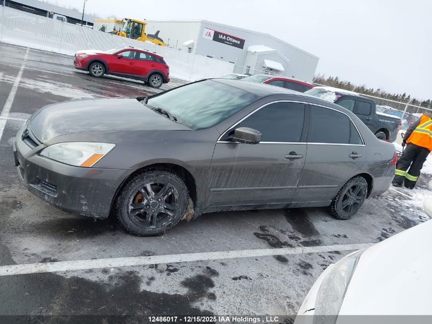 2007 Honda Accord Ex-L/Se VIN: 1HGCM56777A801906 Lot: 12486017
