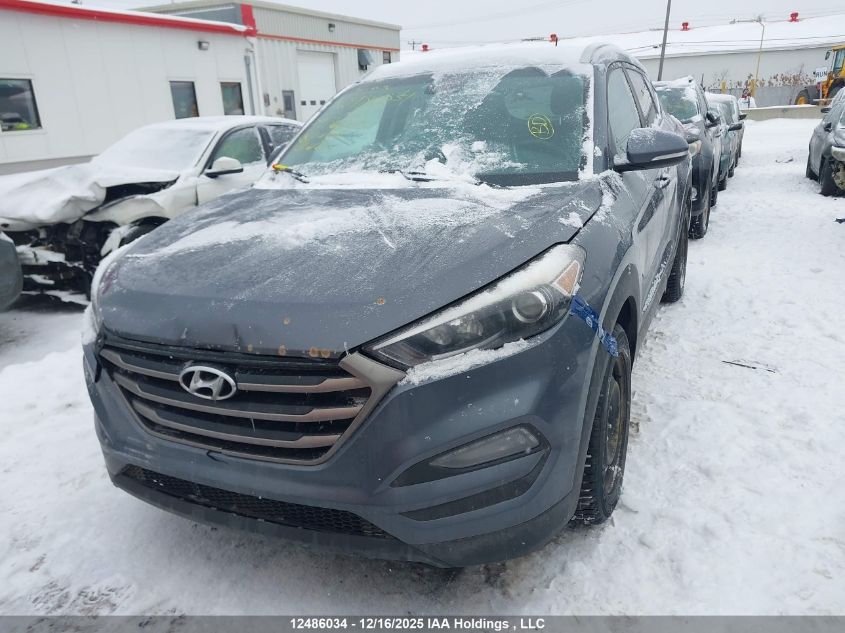 2016 Hyundai Tucson Premium VIN: KM8J3CA41GU196673 Lot: 12486034
