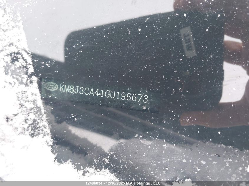 2016 Hyundai Tucson Premium VIN: KM8J3CA41GU196673 Lot: 12486034