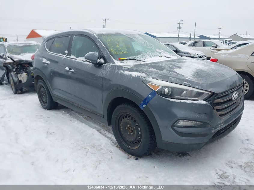 2016 Hyundai Tucson Premium VIN: KM8J3CA41GU196673 Lot: 12486034