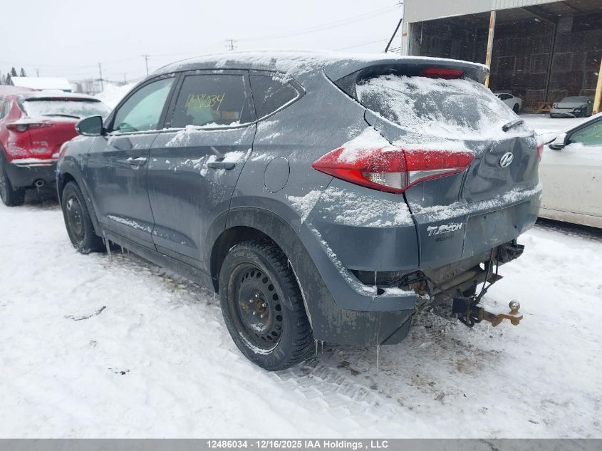 2016 Hyundai Tucson Premium VIN: KM8J3CA41GU196673 Lot: 12486034