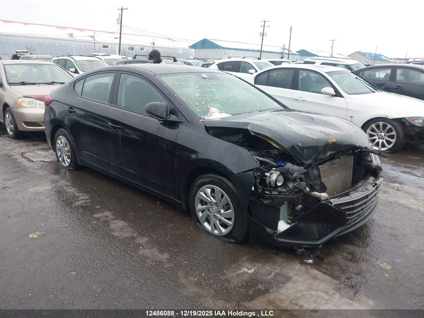 KMHD74LF5LU916492 2020 Hyundai Elantra Essential Auto Ivt auction photo 1
