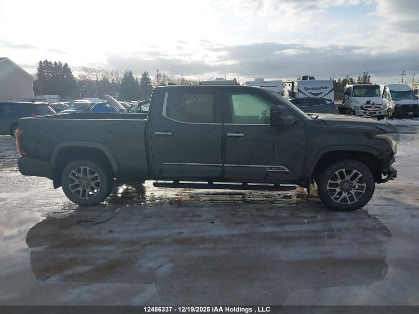2022 Toyota Tundra Platinum VIN: 5TFMA5EC4NX004386 Lot: 12486337
