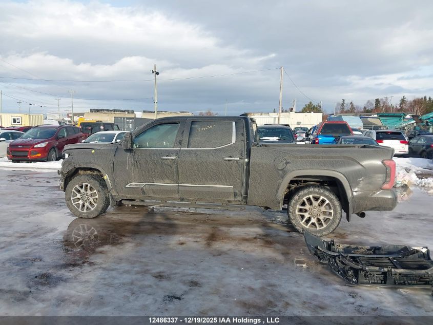 2022 Toyota Tundra Platinum VIN: 5TFMA5EC4NX004386 Lot: 12486337