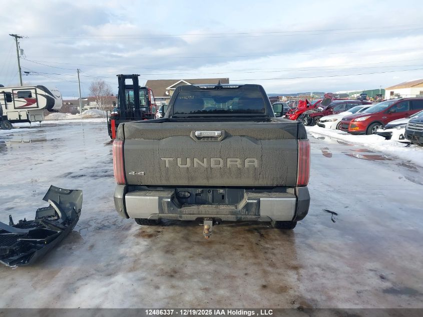 2022 Toyota Tundra Platinum VIN: 5TFMA5EC4NX004386 Lot: 12486337