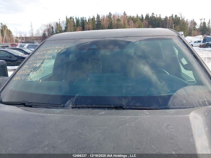 2022 Toyota Tundra Platinum VIN: 5TFMA5EC4NX004386 Lot: 12486337