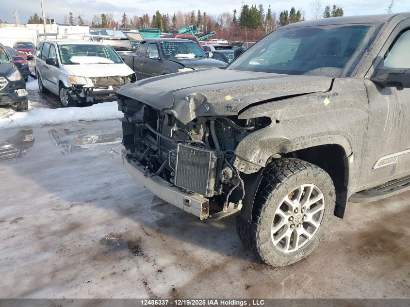 2022 Toyota Tundra Platinum VIN: 5TFMA5EC4NX004386 Lot: 12486337