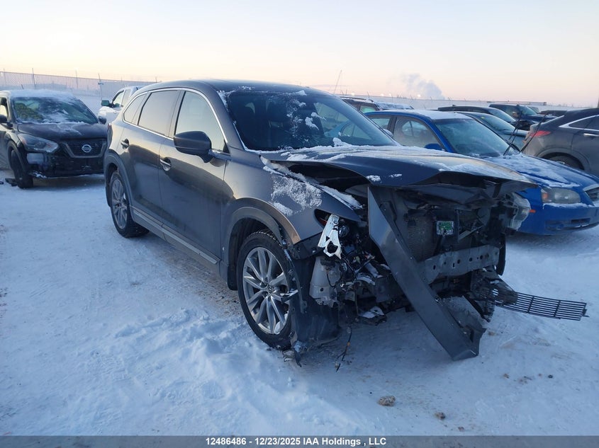 JM3TCBDY5K0301972 MAZDA CX-9 Photo 1