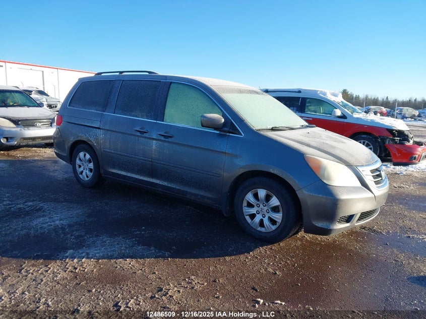 5FNRL3H54AB503470 2010 HONDA ODYSSEY photo no. 6