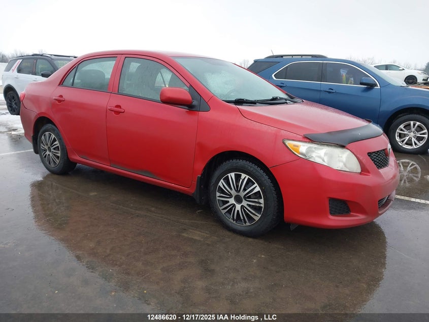 2T1BU4EEXAC359145 2010 Toyota Corolla auction photo 1