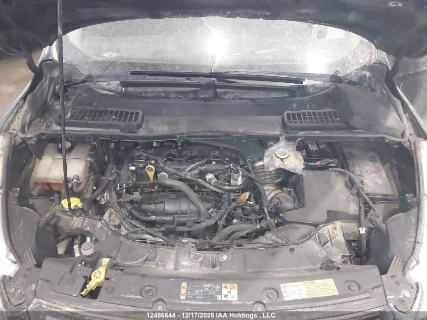 2014 Ford Escape Se VIN: 1FMCU0GX1EUC61976 Lot: 12486644