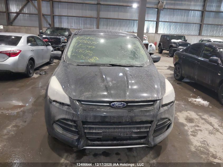 2014 Ford Escape Se VIN: 1FMCU0GX1EUC61976 Lot: 12486644