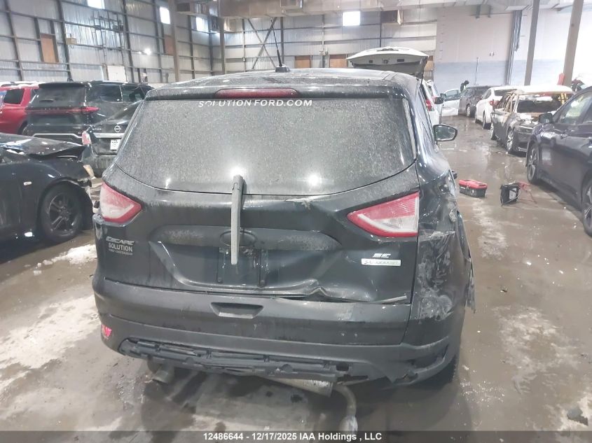 2014 Ford Escape Se VIN: 1FMCU0GX1EUC61976 Lot: 12486644