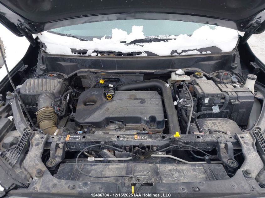 2024 GMC Terrain Sle VIN: 3GKALTEG5RL250731 Lot: 12486704