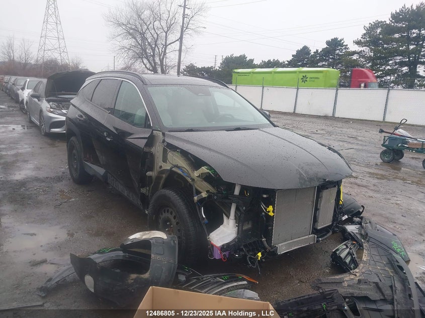 KM8JCCA12PU119185 2023 Hyundai Tucson Luxury Hybrid Awd auction photo 1