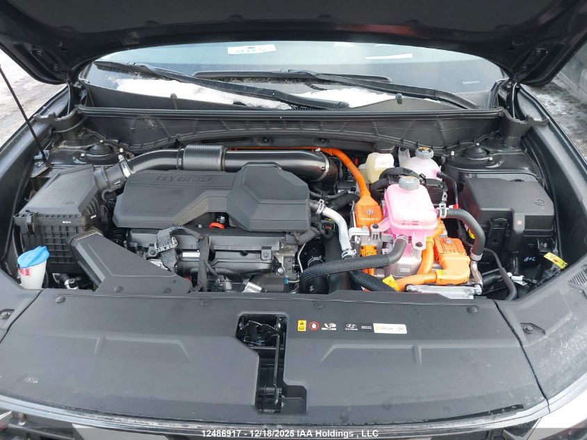 2026 Hyundai Tucson Sel Convenience VIN: KM8JCDD15TU407486 Lot: 12486917