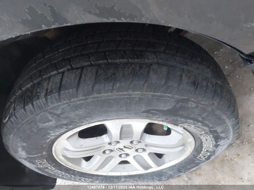 2008 Honda Pilot Exl VIN: 5FNYF18678B503554 Lot: 12487074