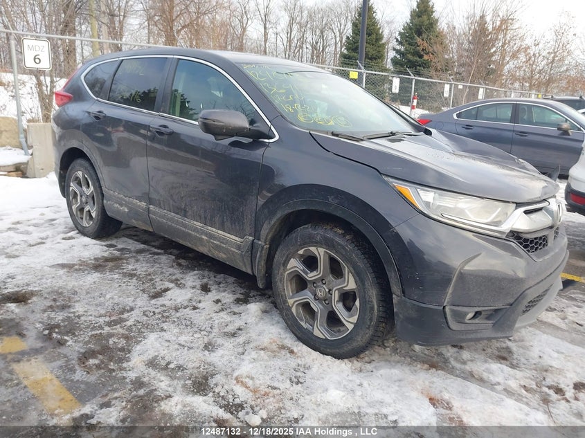 2HKRW2H85KH136416 HONDA CR-V Photo 1