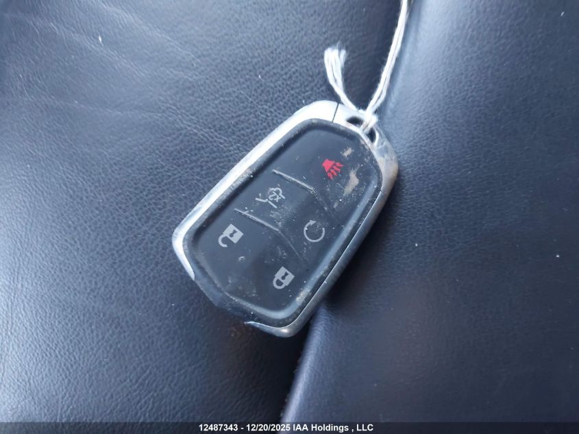 2023 Cadillac Xt4 Premium Luxury VIN: 1GYFZDR49PF105568 Lot: 12487343