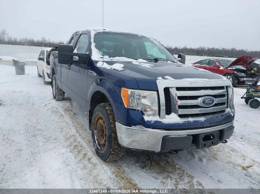 2010 Ford F-150 Fx4/Lariat/Svt Raptor/Xl/Xlt