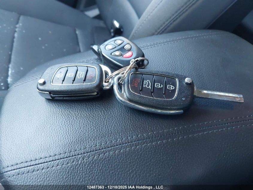 2017 Hyundai Santa Fe Sport 2.4 Premium VIN: 5XYZUDLB5HG500046 Lot: 12487363