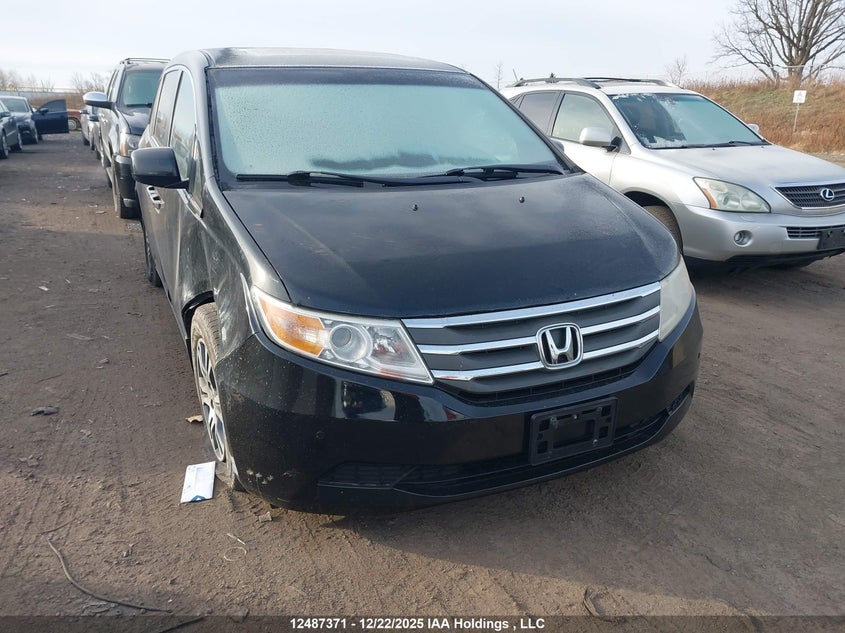 5FNRL5H65BB510756 HONDA ODYSSEY Photo 1