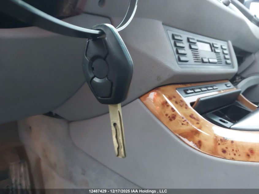 2002 BMW X5 4.4I VIN: 5UXFB33592LH34815 Lot: 12487429