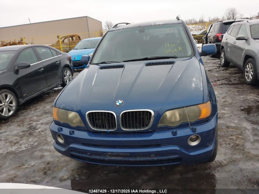 2002 BMW X5 4.4I VIN: 5UXFB33592LH34815 Lot: 12487429
