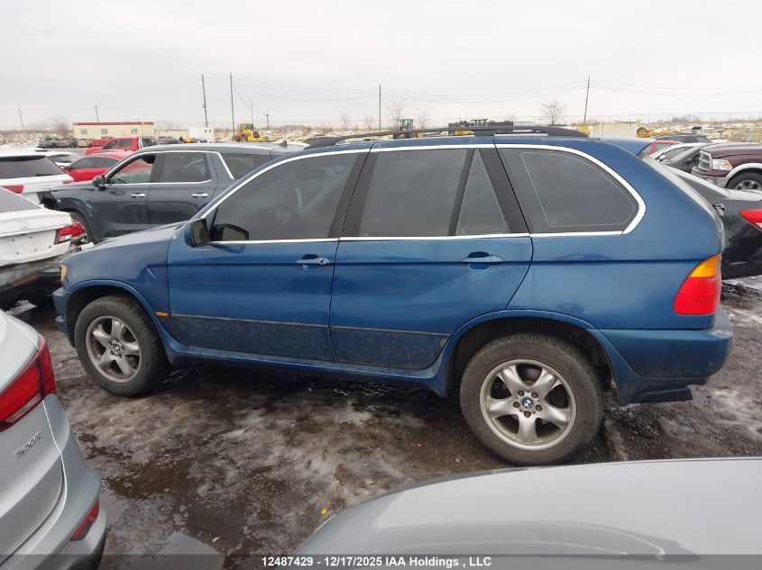 2002 BMW X5 4.4I VIN: 5UXFB33592LH34815 Lot: 12487429