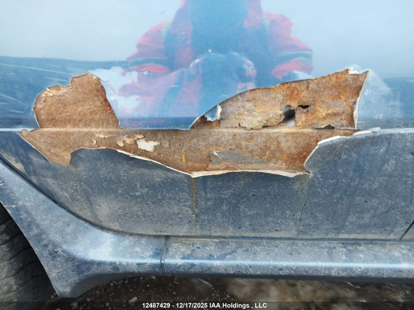 2002 BMW X5 4.4I VIN: 5UXFB33592LH34815 Lot: 12487429