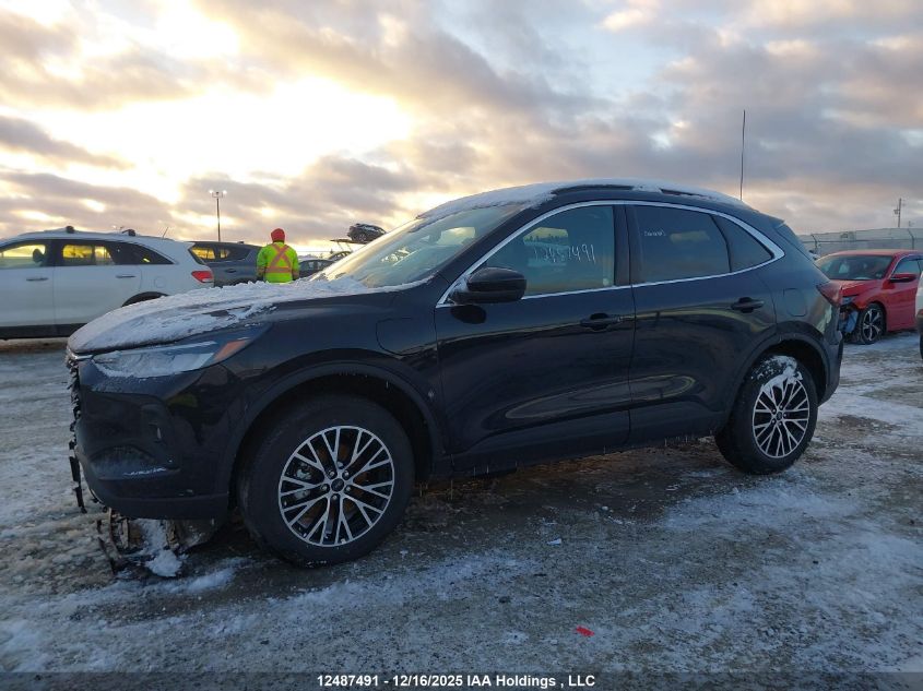 2025 Ford Escape Phev VIN: 1FMCU0E19SUB16422 Lot: 12487491