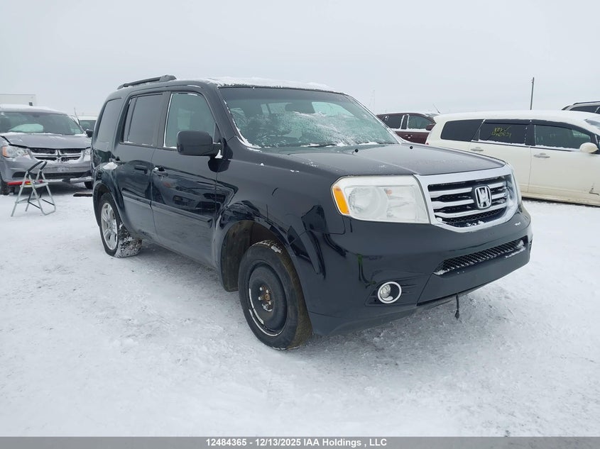 5FNYF4H40DB506502 2013 Honda Pilot Ex auction photo 1
