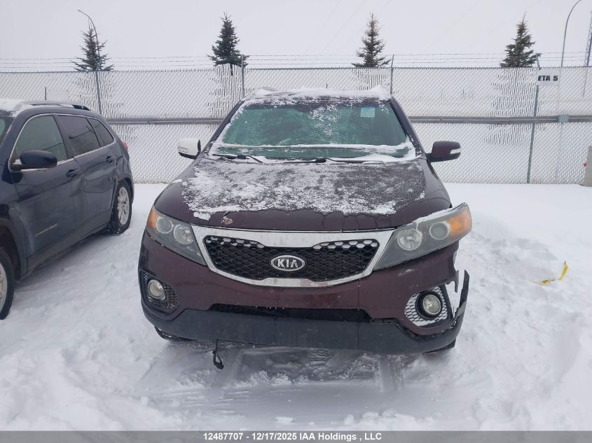 2011 Kia Sorento VIN: 5XYKWDA25BG186145 Lot: 12487707