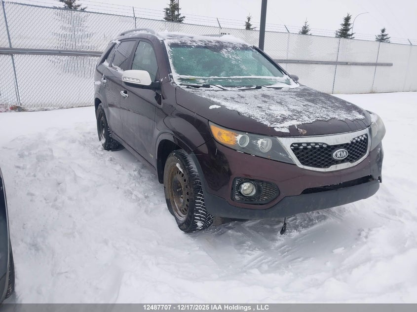 5XYKWDA25BG186145 2011 Kia Sorento auction photo 1