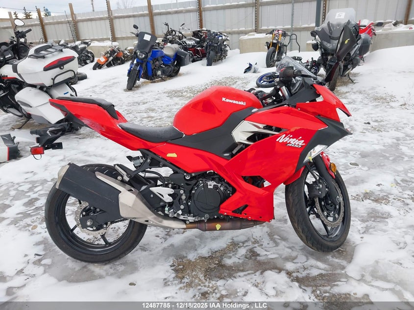 2020 Kawasaki Ex400 VIN: JKAEXKG10LDA80082 Lot: 12487785