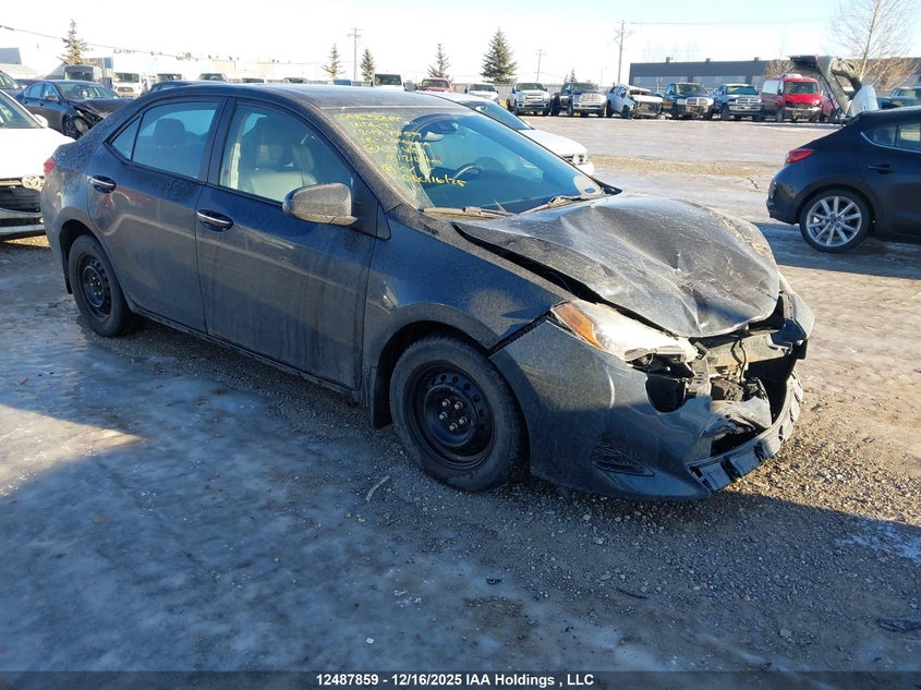 2T1BURHE2JC018489 2018 Toyota Corolla L/Le/Xle/Se/Xse auction photo 1