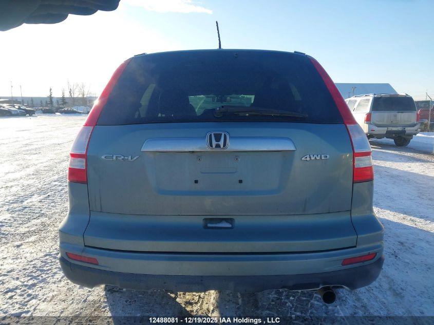 2010 Honda Cr-V Exl VIN: 5J6RE4H74AL809125 Lot: 12488081