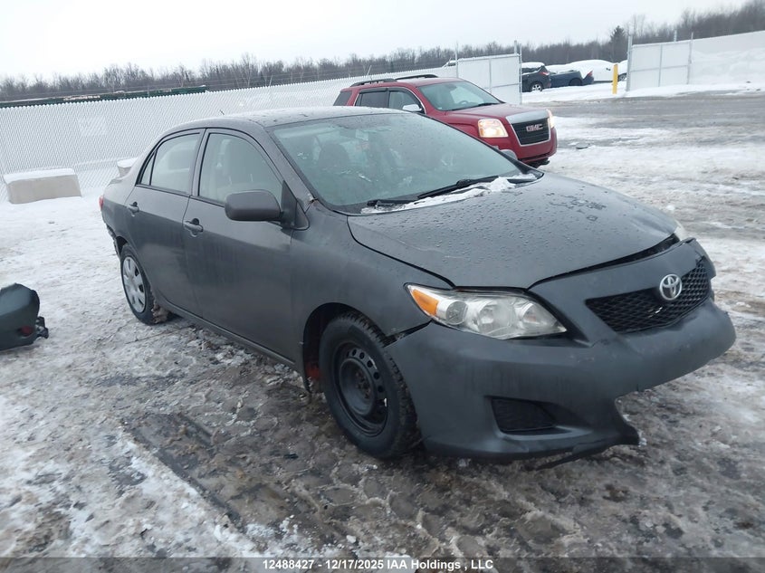 2T1BU4EE7AC399179 2010 Toyota Corolla auction photo 1